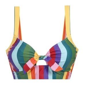 Collectif Rainbow Stripes Swim Bikini Top Size 18